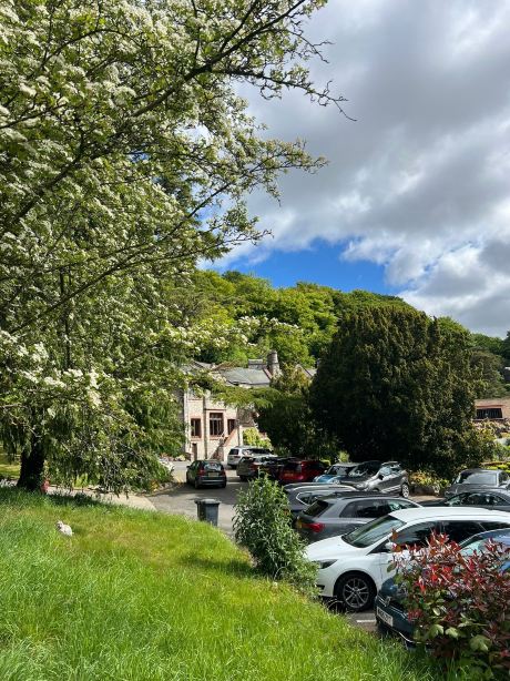 Netherwood Hotel & Spa-旅行者