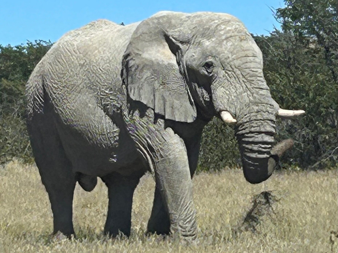 Namibia Tours & Safaris-斯瓦科普蒙德必去景点