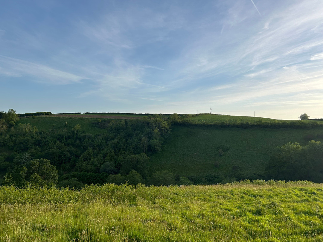 Huxtable Farm Bed & Breakfast And Camping主图