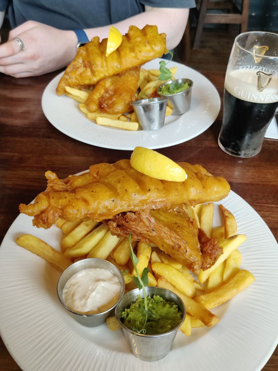 Erris Coast Hotel-旅行者
