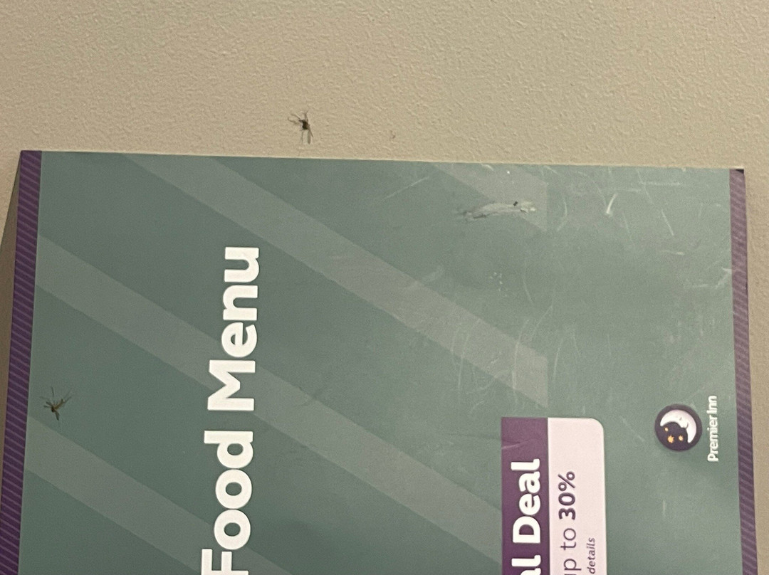 瑟罗克西普瑞米尔酒店