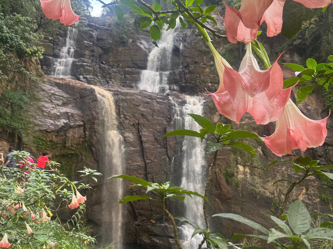 Rejal Tours Sri Lanka-Dankotuwa必去景点
