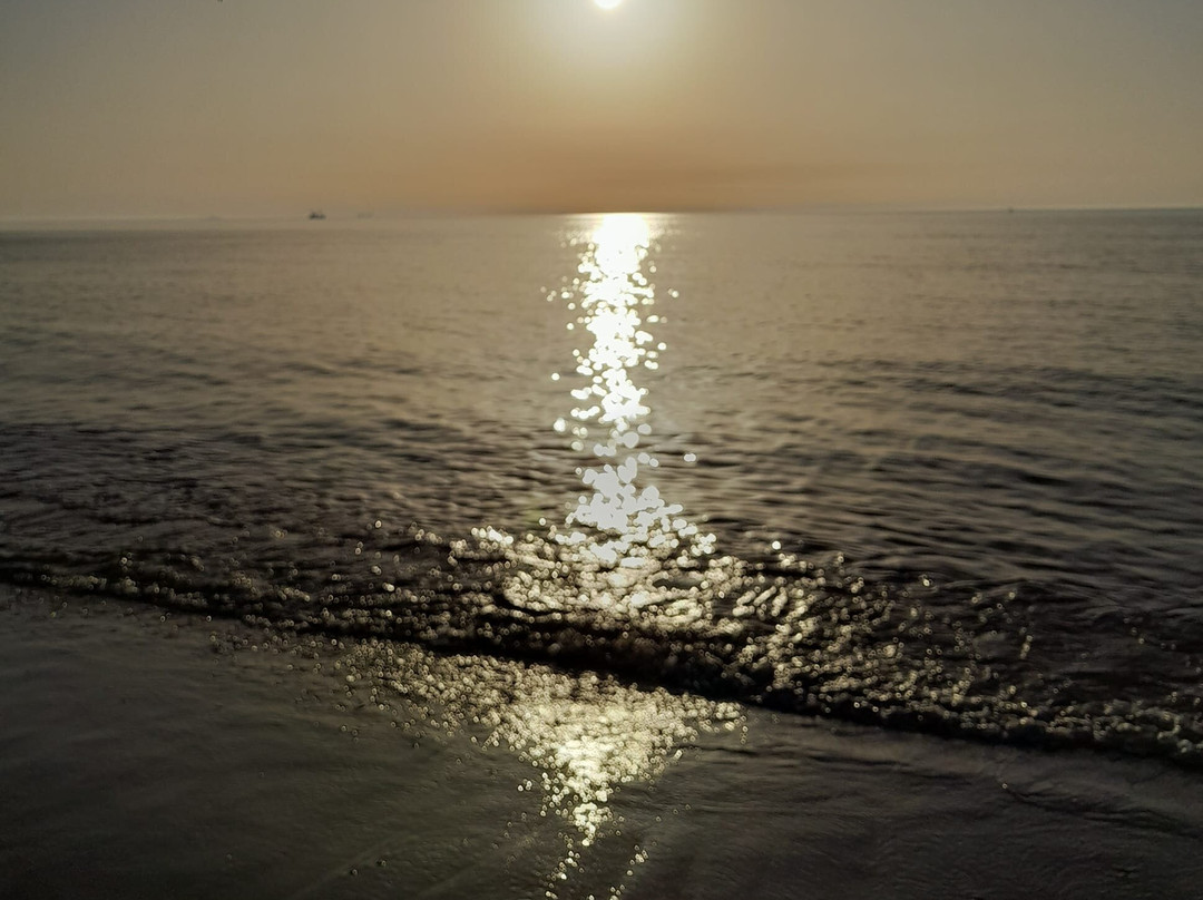 Strand S'gravenzande-'s-Gravenzande必去景点