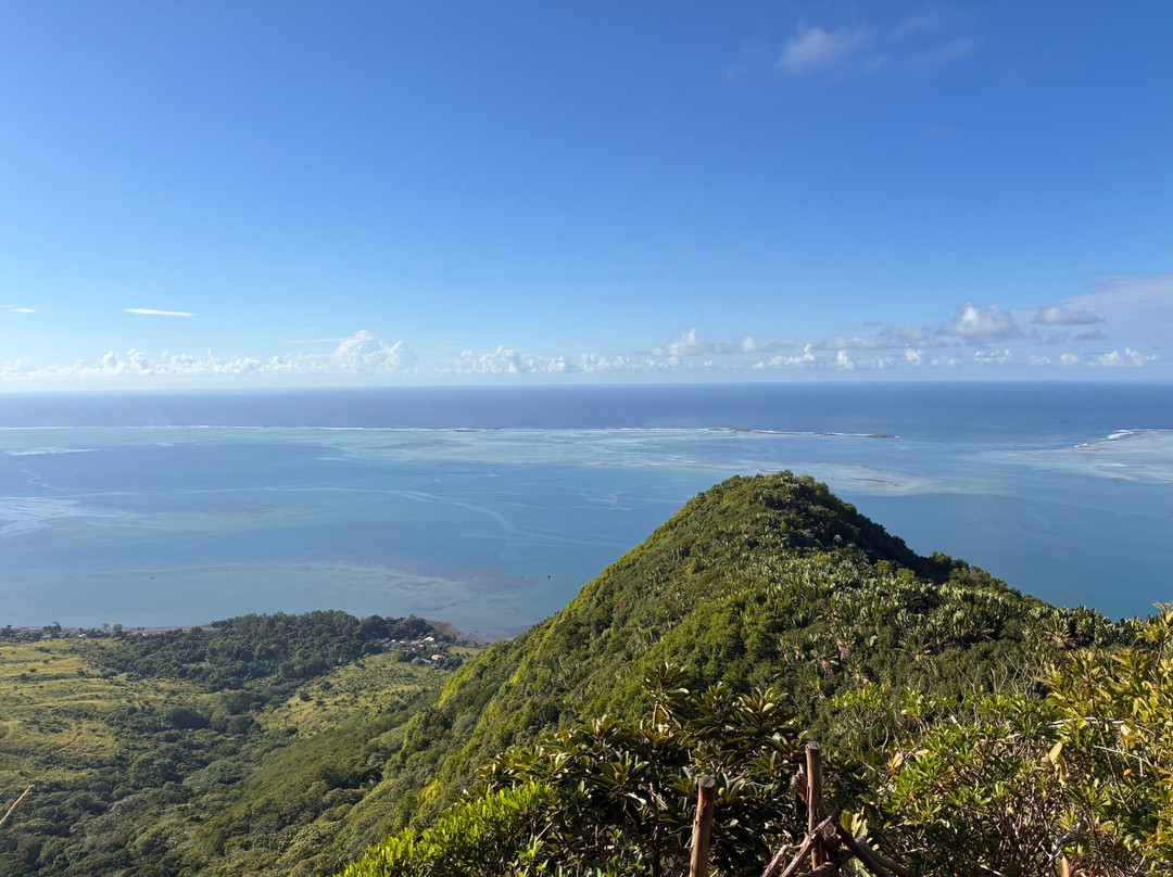 Montagne Du Lion-Vieux Grand Port必去景点