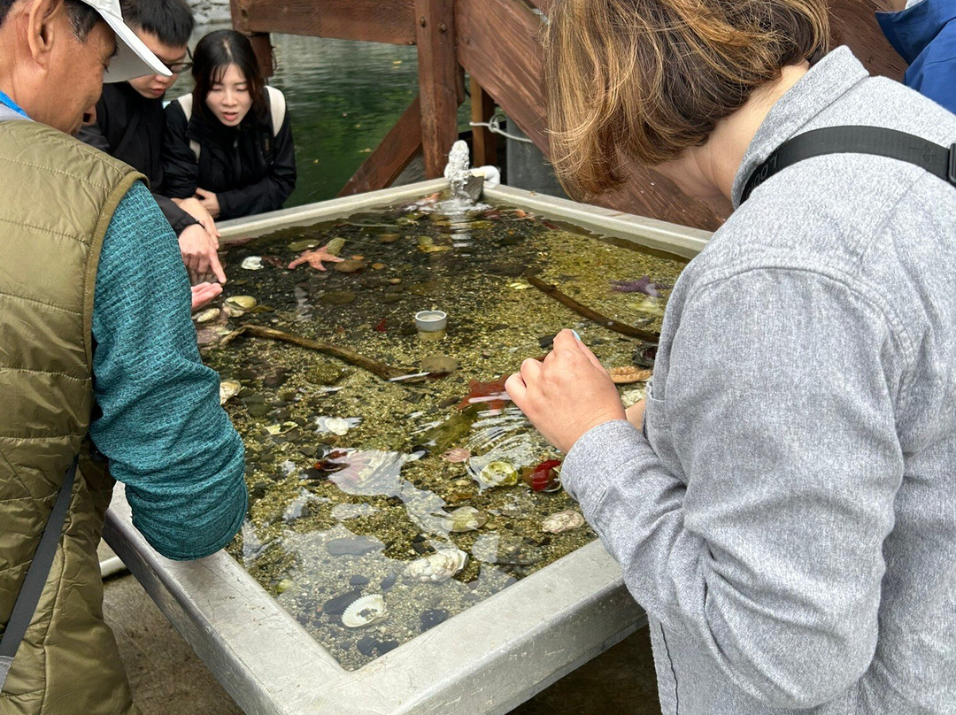 Hump Island Oyster & Kelp Farm with Tasting-凯奇坎必去景点
