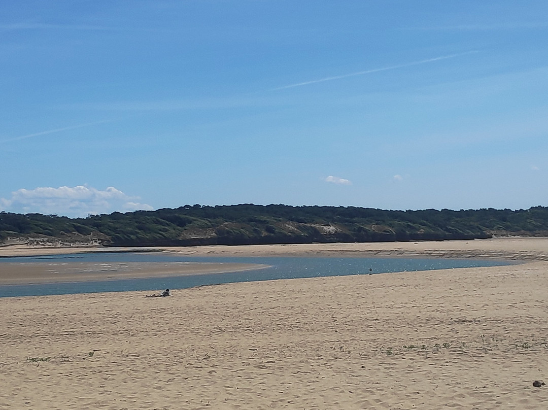La Plage Du Veillon-Talmont Saint Hilaire必去景点