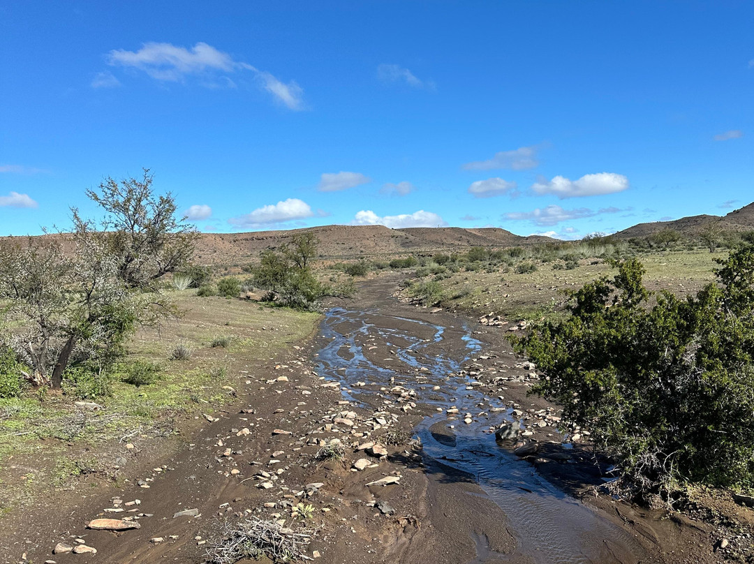 Karoo Vreugde Scenic Drives-Merweville必去景点