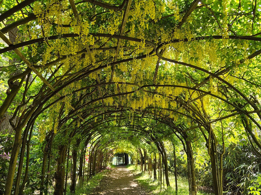 Arley Arboretum & Gardens-Upper Arley必去景点