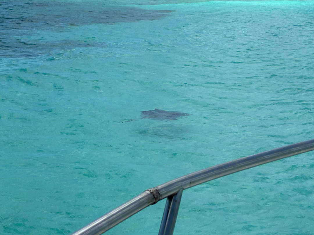 Cozumel Cruise Excursions - Private Tours-考祖梅必去景点