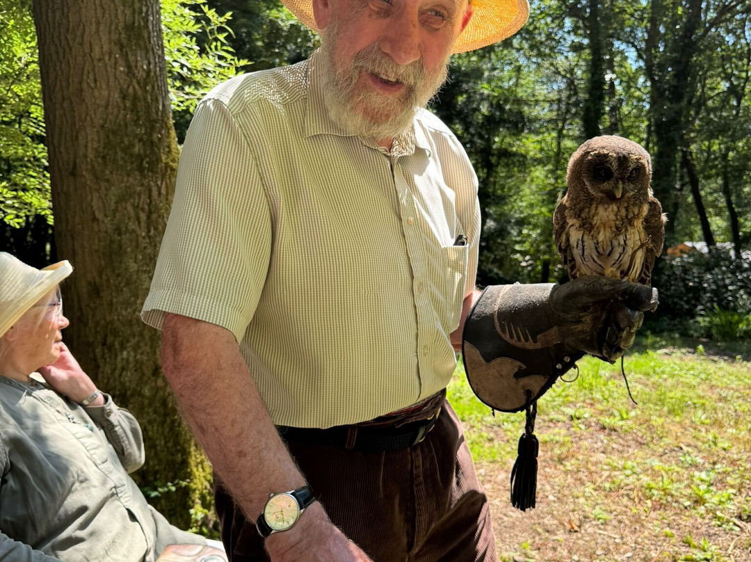 The Falconry Experience-纽波特必去景点
