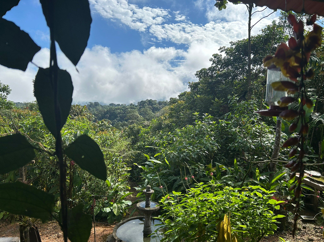 Choco Toucan Reserve-San Miguel de los Bancos必去景点