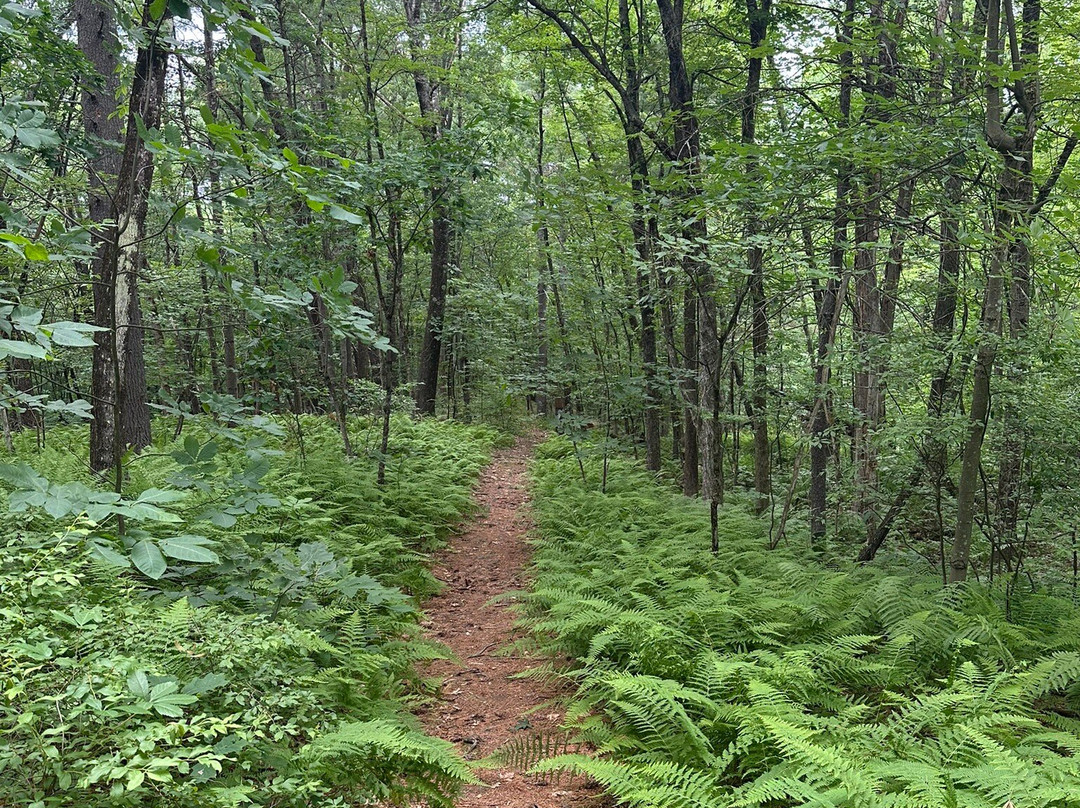 Fruitlands Museum-Harvard必去景点