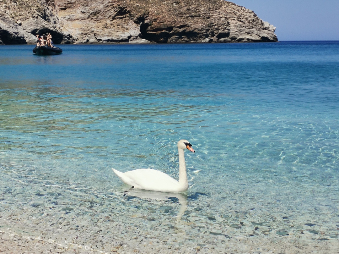 Achla Beach-安德罗斯必去景点