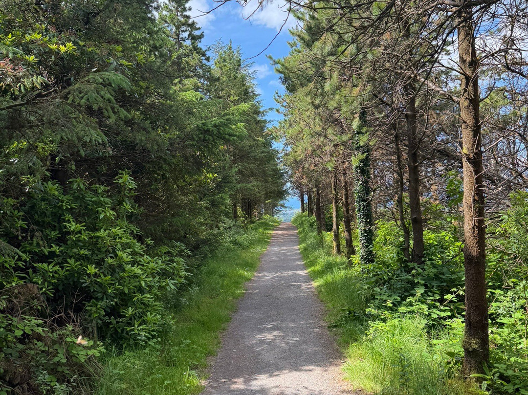 Benbulben Forest Walk-Drumcliff必去景点