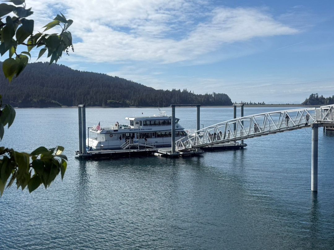Seldovia Bay Ferry-荷马必去景点