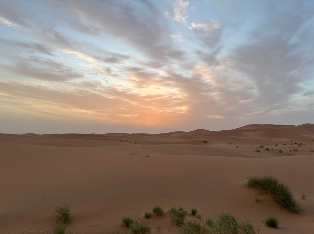 1001 Tours Morocco-塔拉戈纳必去景点