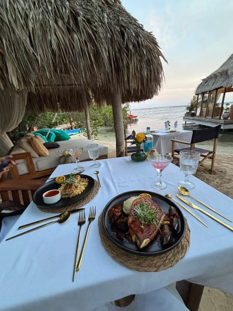 Aruba Ocean Villas-旅行者