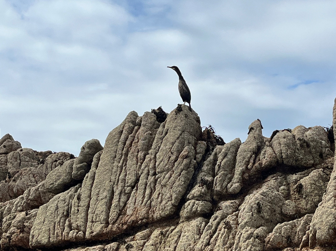 Tour Guernsey-St Peter Port必去景点