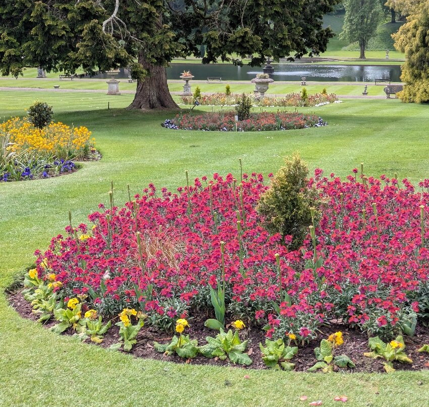 Bicton Park Botanical Gardens-Bicton必去景点