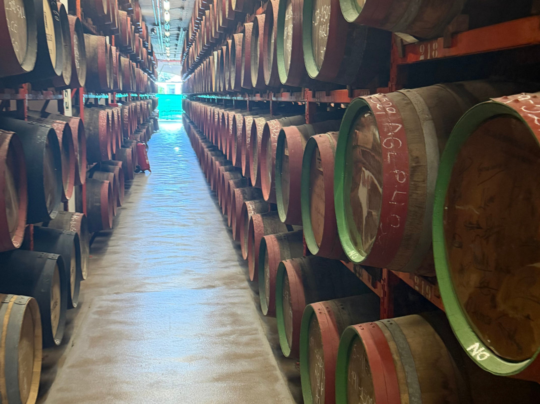 Arehucas Rum Distillery-Arucas必去景点