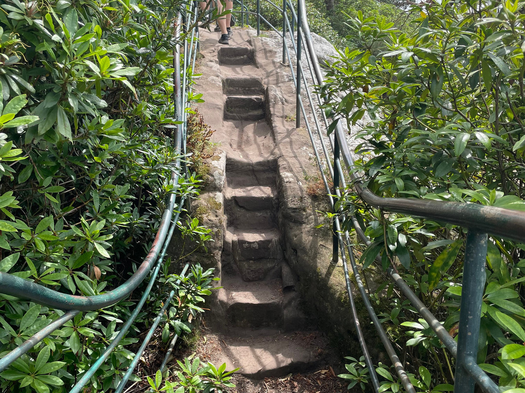 Hawkstone Park Follies-什鲁斯伯里必去景点
