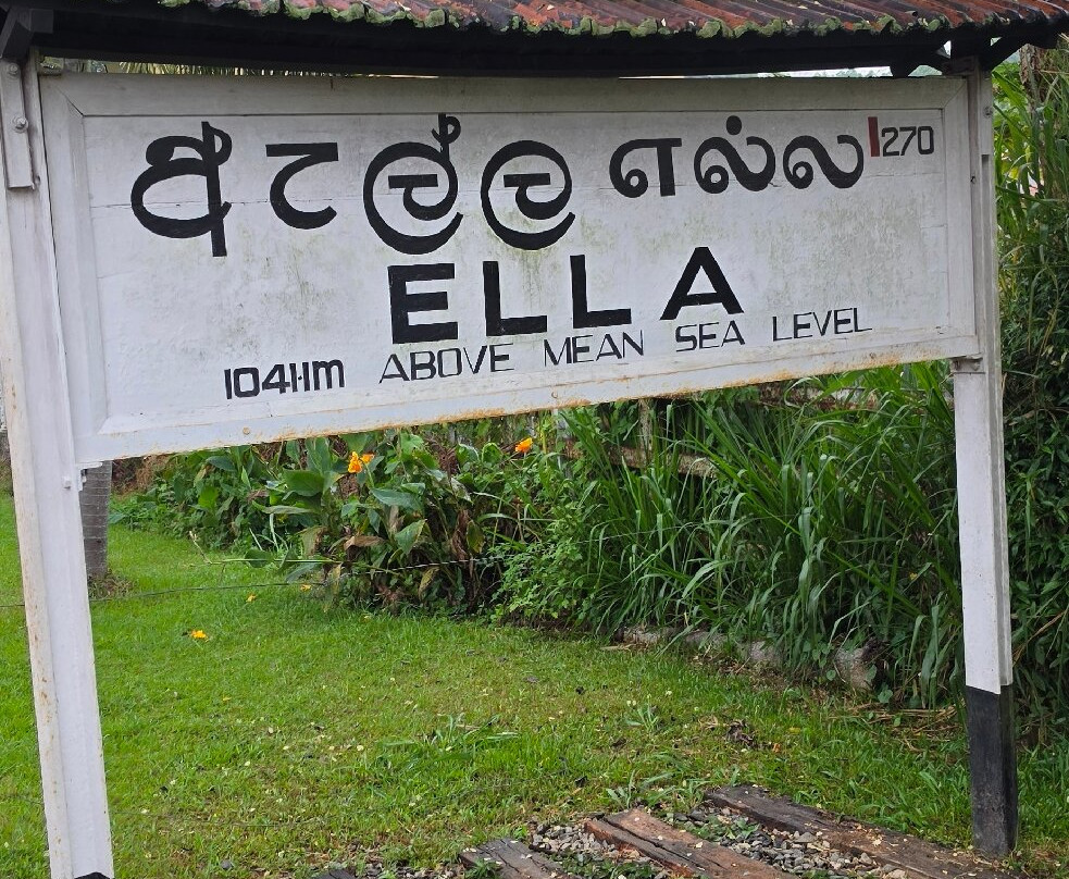 Nanuoya To Ella Train Ride-Nanu Oya必去景点