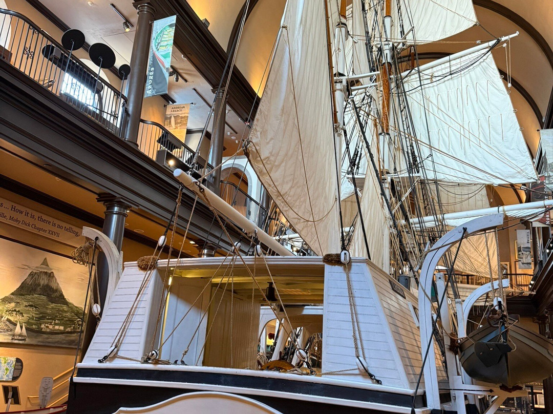 New Bedford Whaling Museum-新贝德福德必去景点