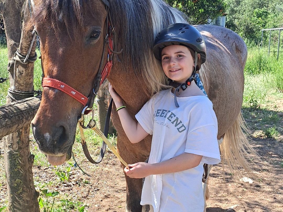 Arena horse riding corfu-Perithia必去景点