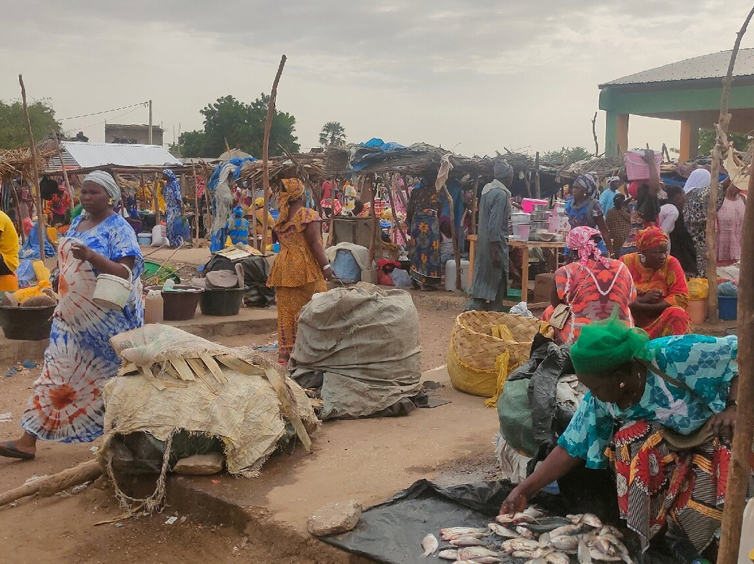 Malick Travel Senegal-Ponto必去景点