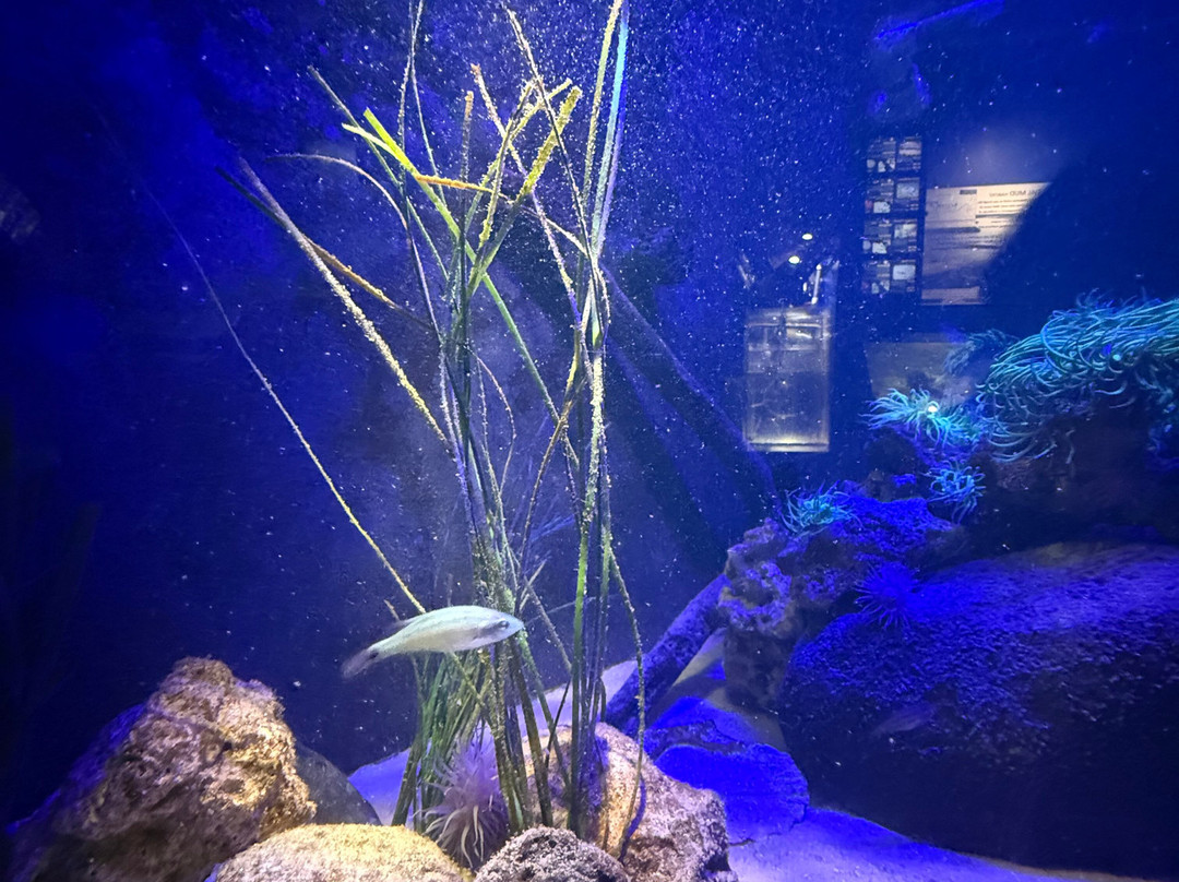 Lake District Coast Aquarium-Maryport必去景点