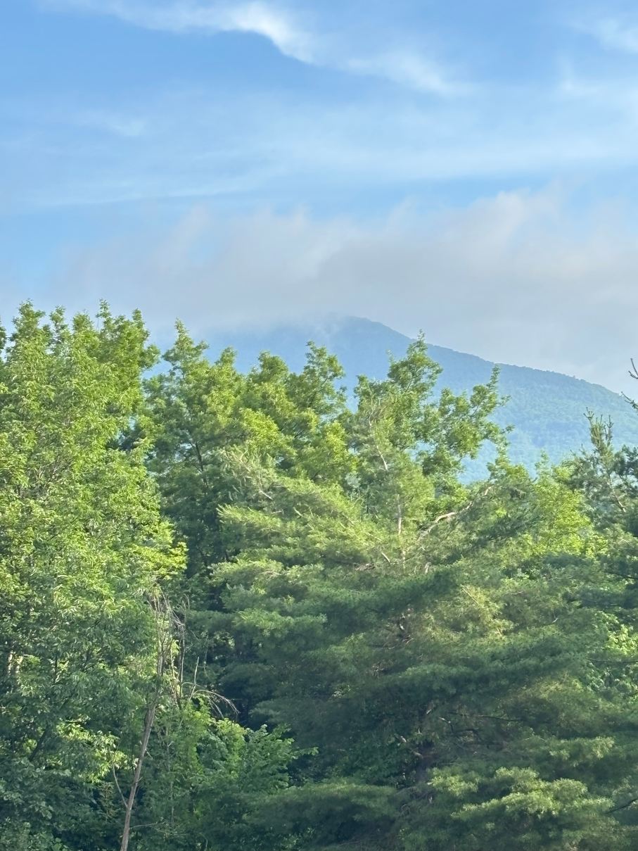 曼切斯特维尤酒店-旅行者