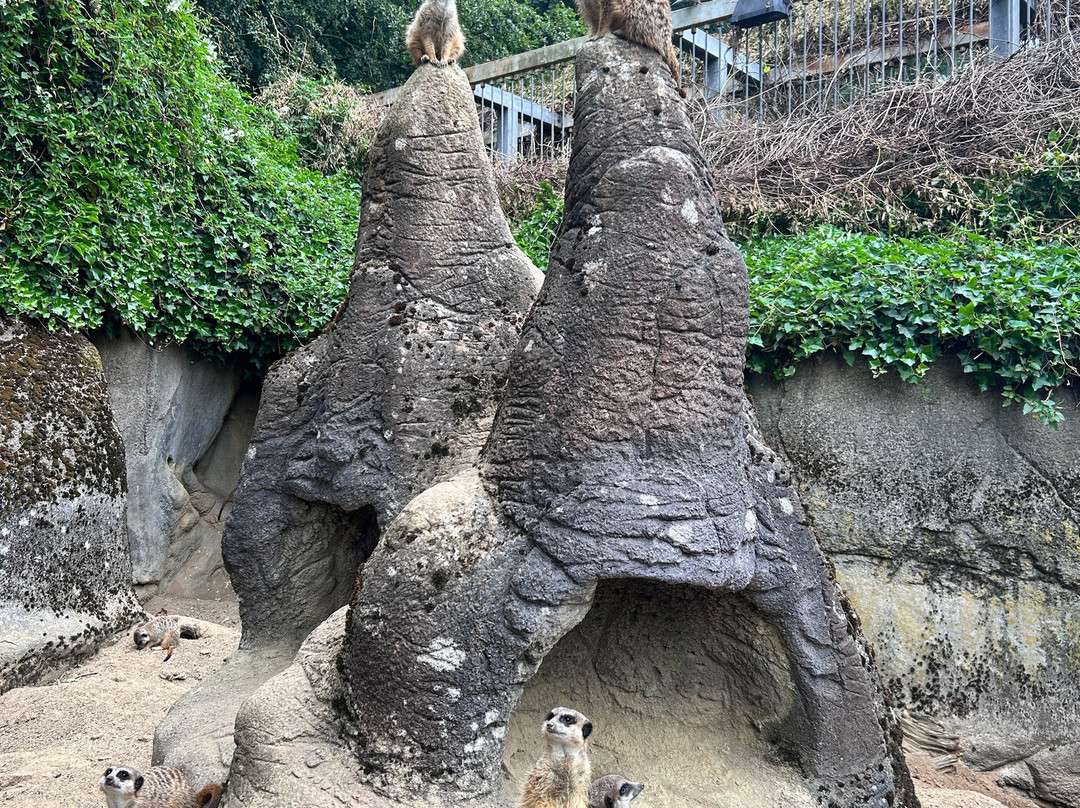 Aalborg Zoologiske Have-奥尔堡必去景点