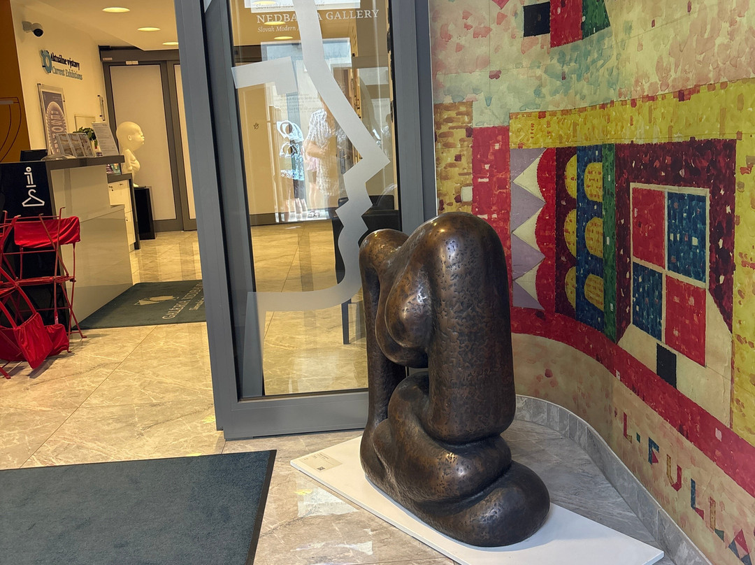 Nedbalka Gallery-布拉迪斯拉发必去景点