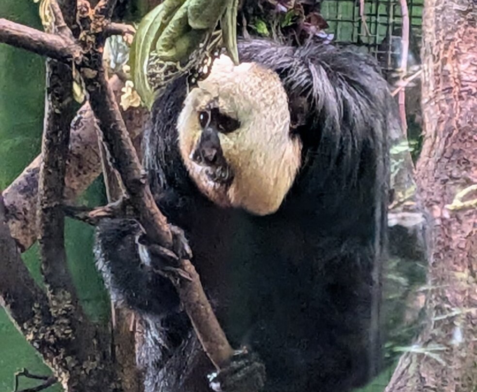 Marwell Zoo-温彻斯特必去景点