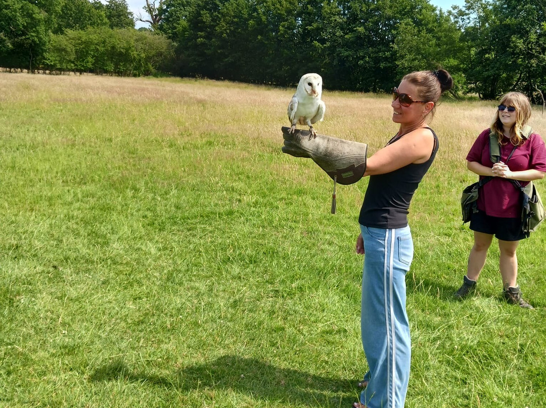 UK Owl And Raptor Centre-Groombridge必去景点