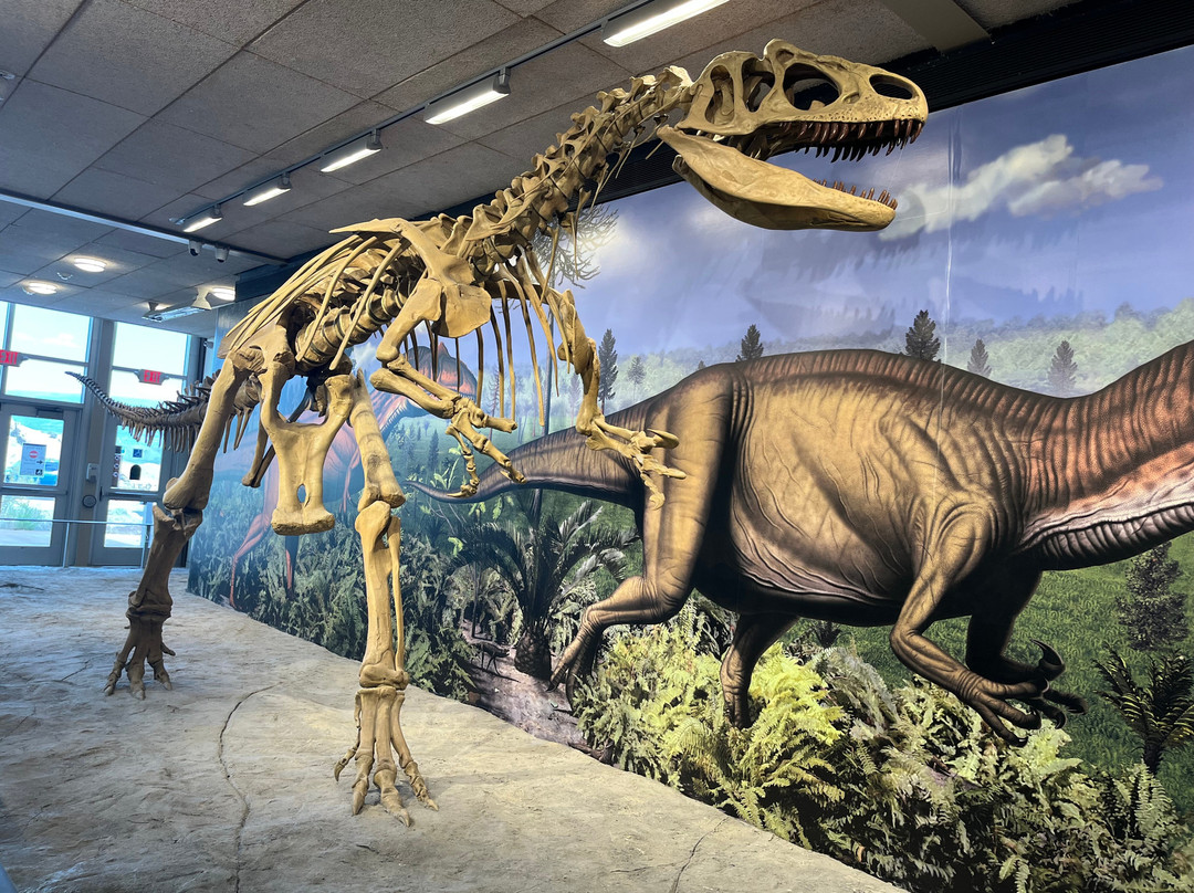 Dinosaur National Monument-Dinosaur必去景点