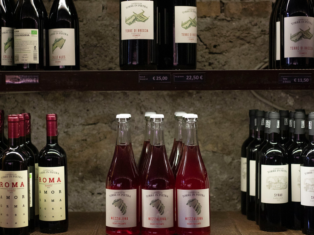 Cantina Castello di Torre in Pietra-Torrimpietra必去景点