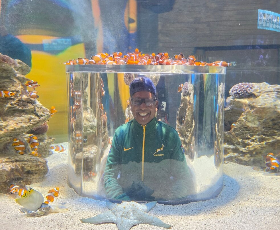 Two Oceans Aquarium-开普敦中心区必去景点