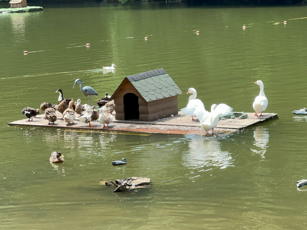 Lake Parz-Dilijan必去景点