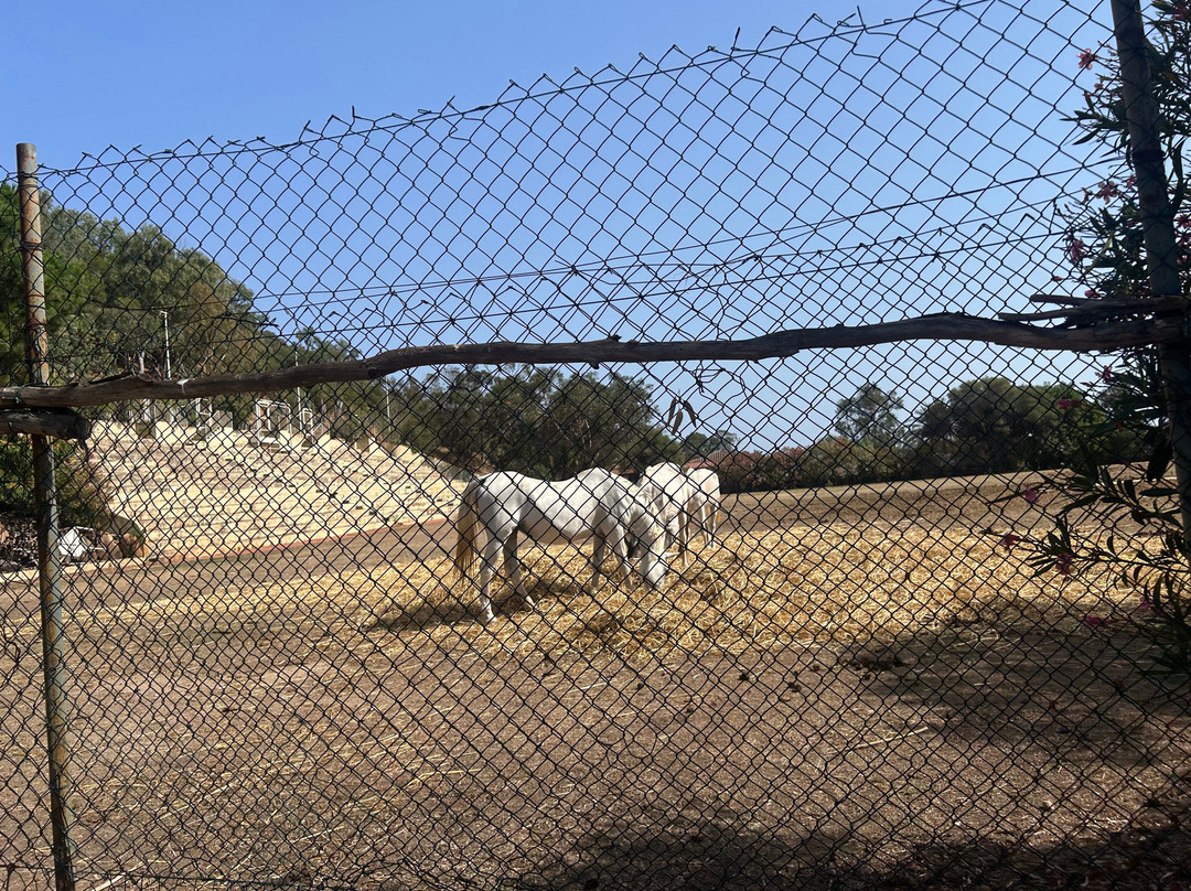 Parco Naturalistico Bellavista-Arbatax必去景点