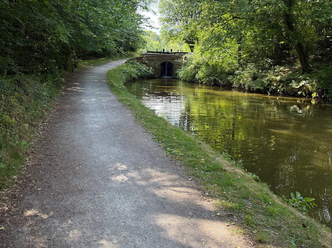 Trans Pennine Trail-谢菲尔德必去景点