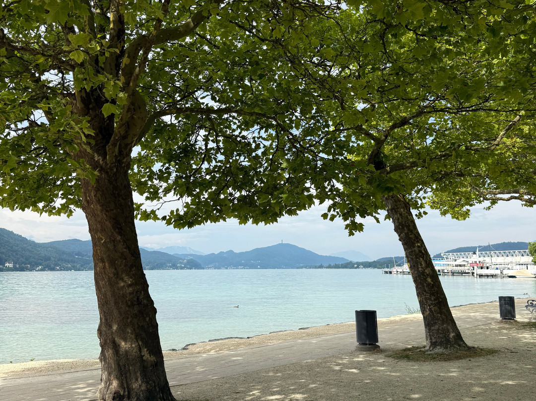 Wörtherseeschiffahrt-卡拉根渡口必去景点