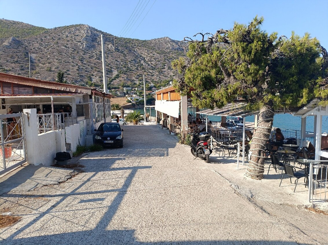 Taverna Vigla - Kaki Vigla