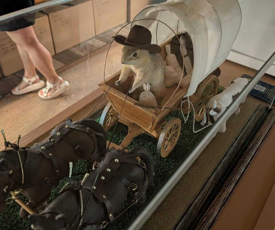 World Famous Gopher Hole Museum-Torrington必去景点