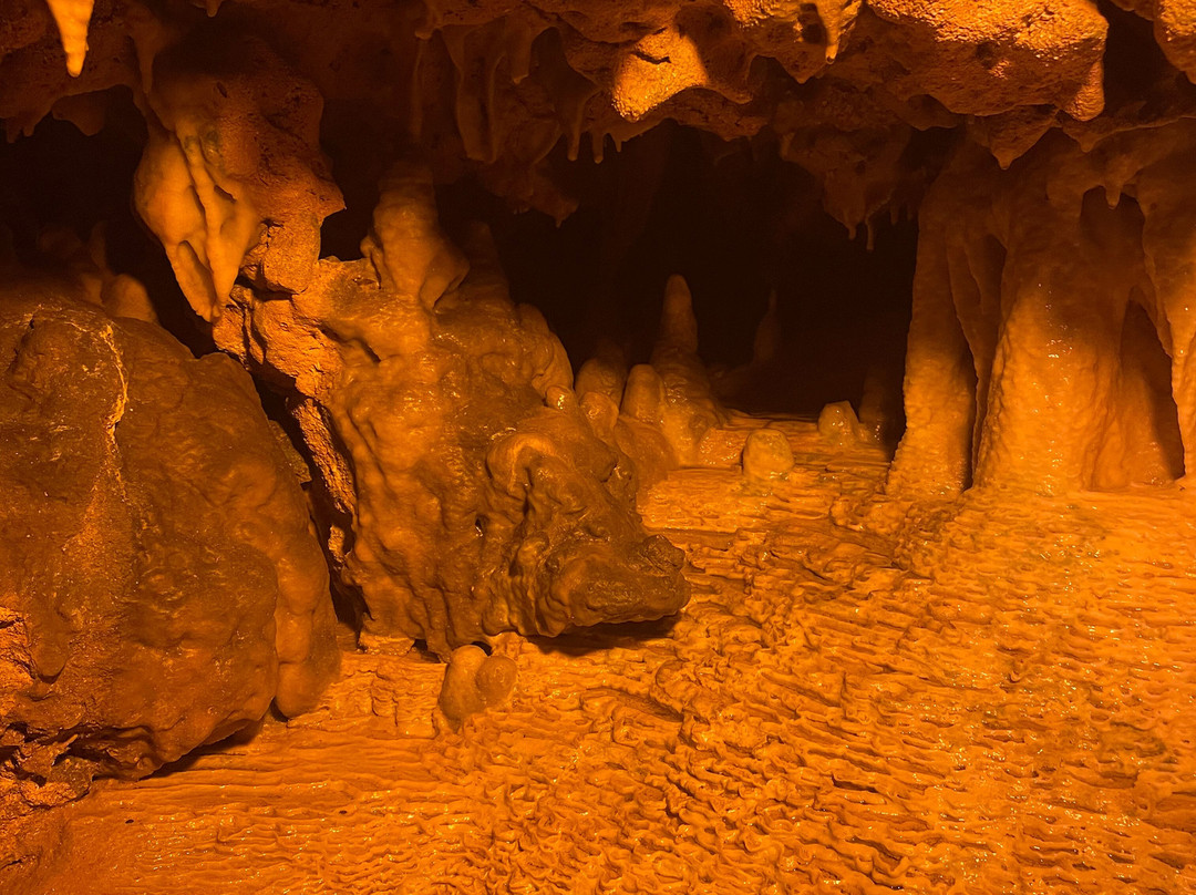 Florida Caverns State Park-Marianna必去景点