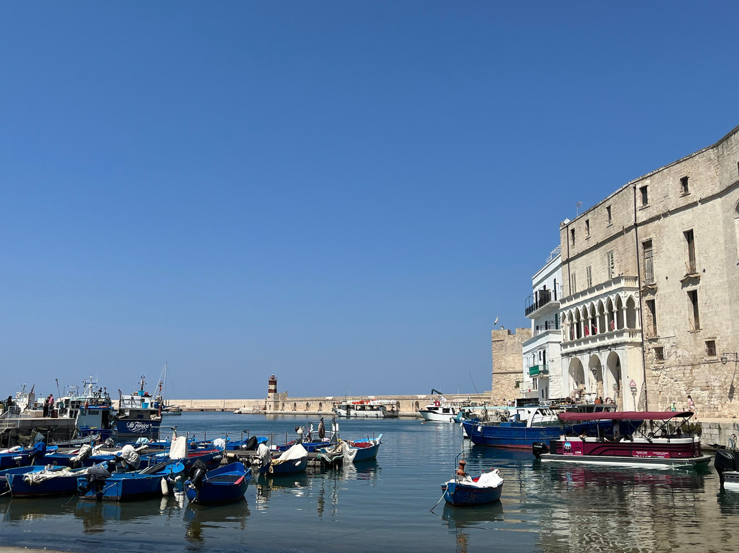Porto antico di Monopoli-莫诺波利必去景点
