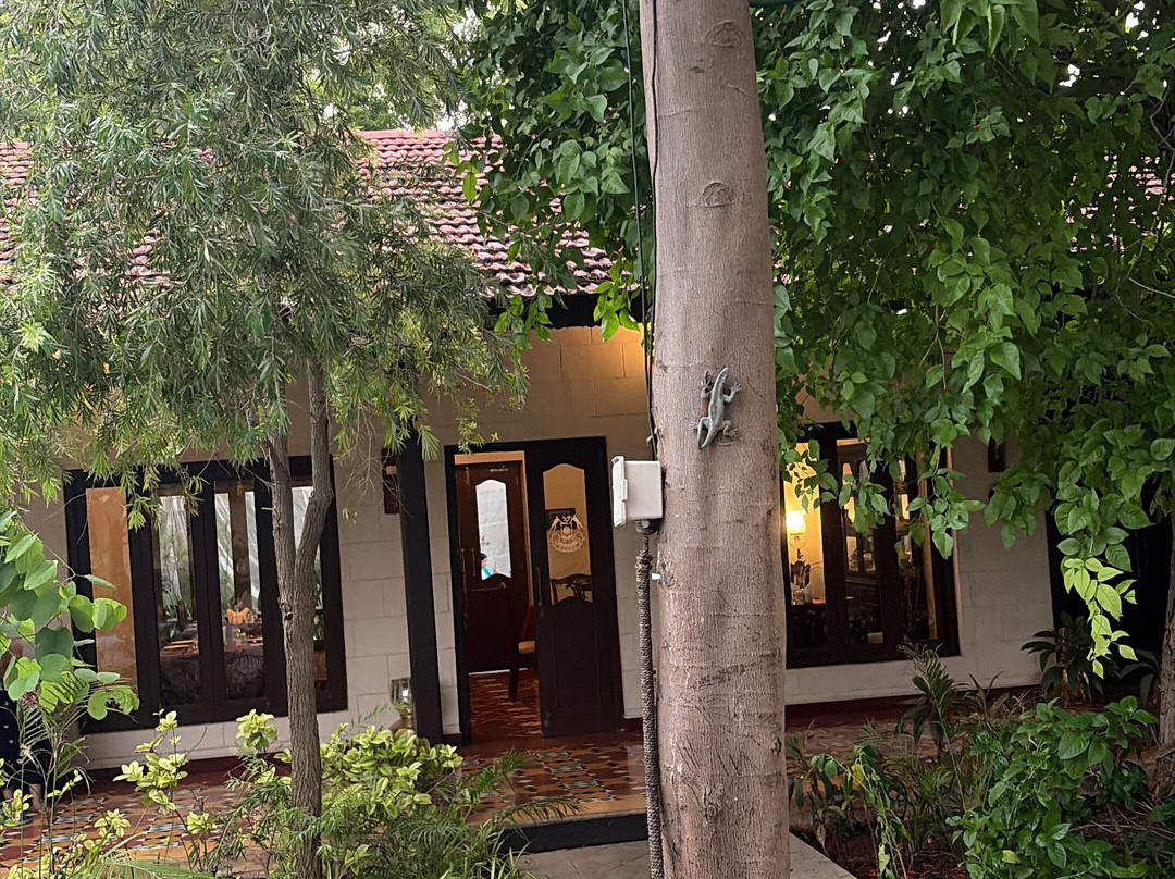 生命之树Darbargadh，Dared主图