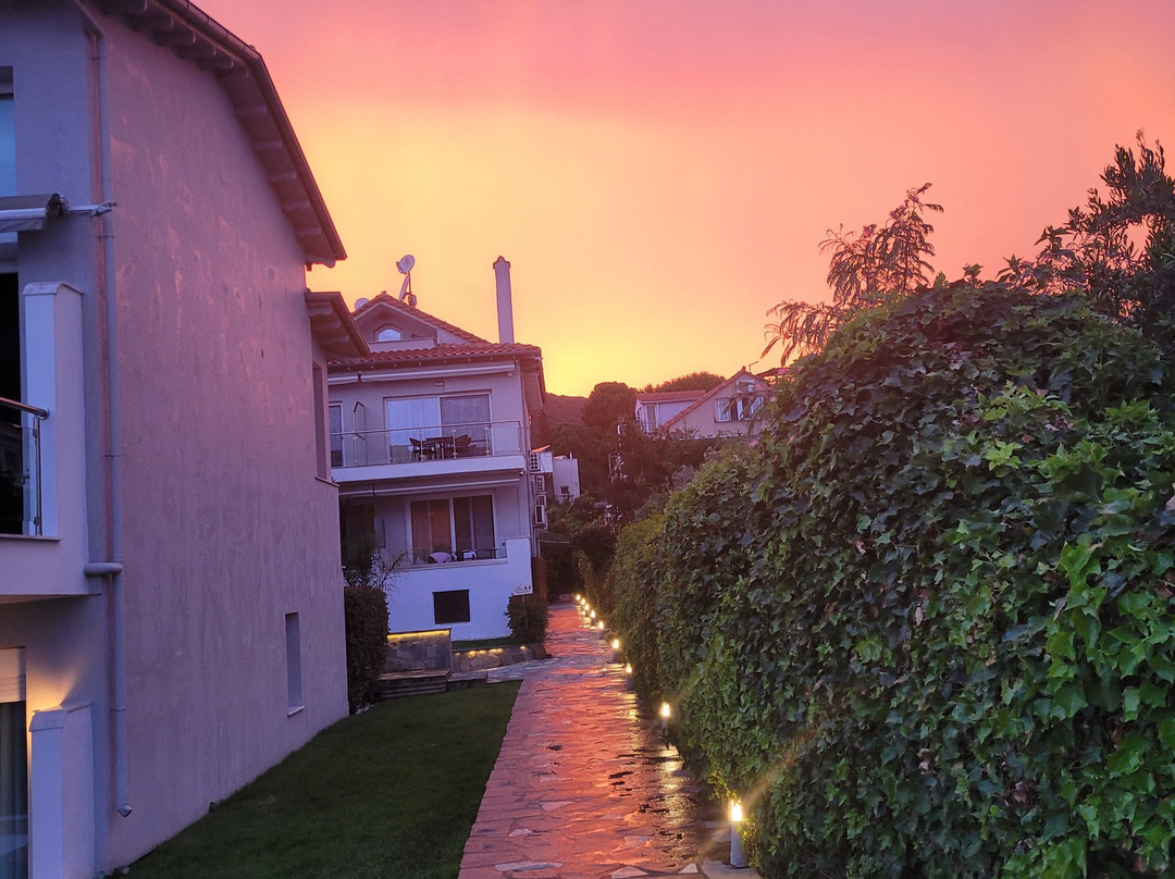 Villa Mediterrane Hotel主图