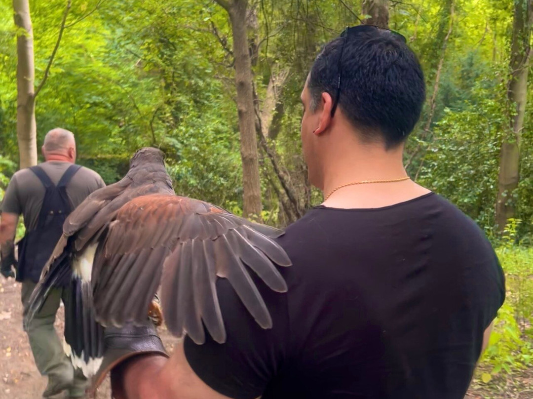 Riverside Falconry-纽卡斯尔必去景点