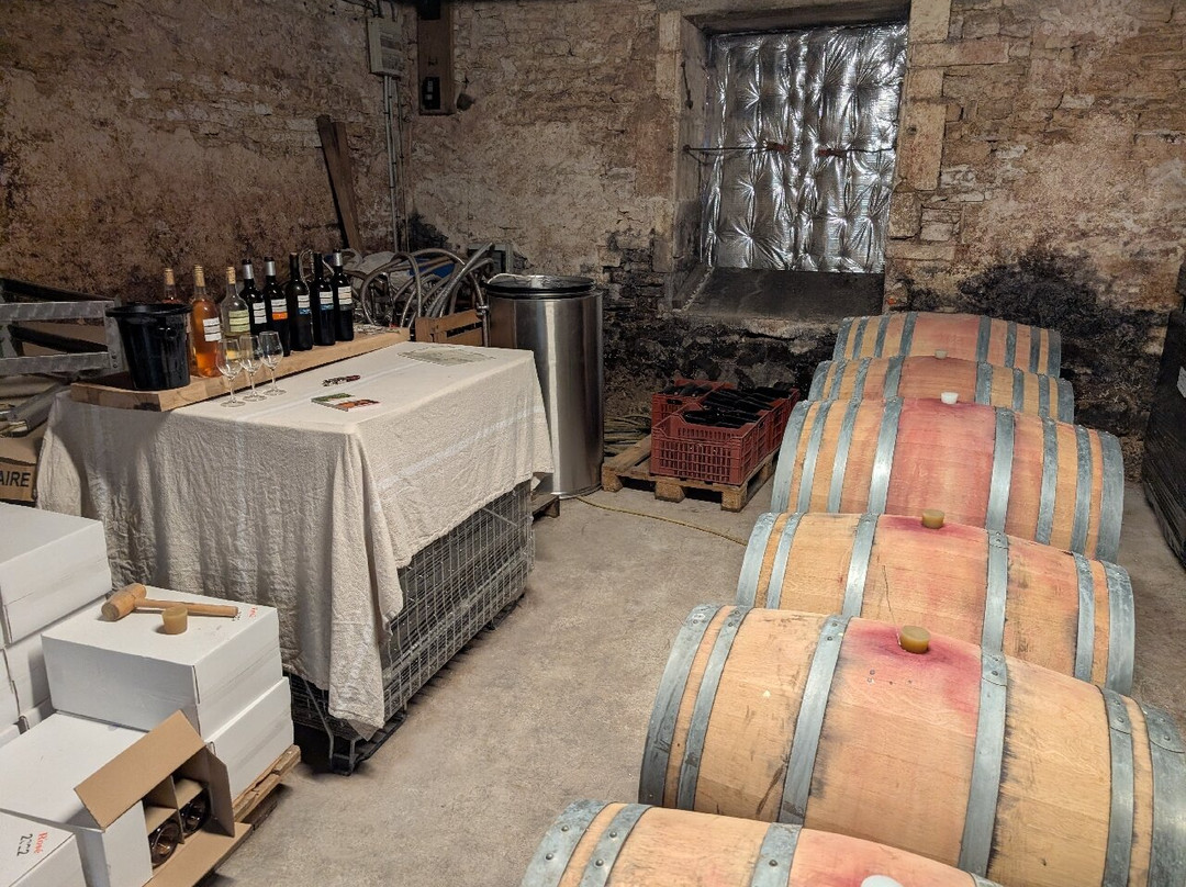 Pique Russe Vineyard-Gourvillette必去景点